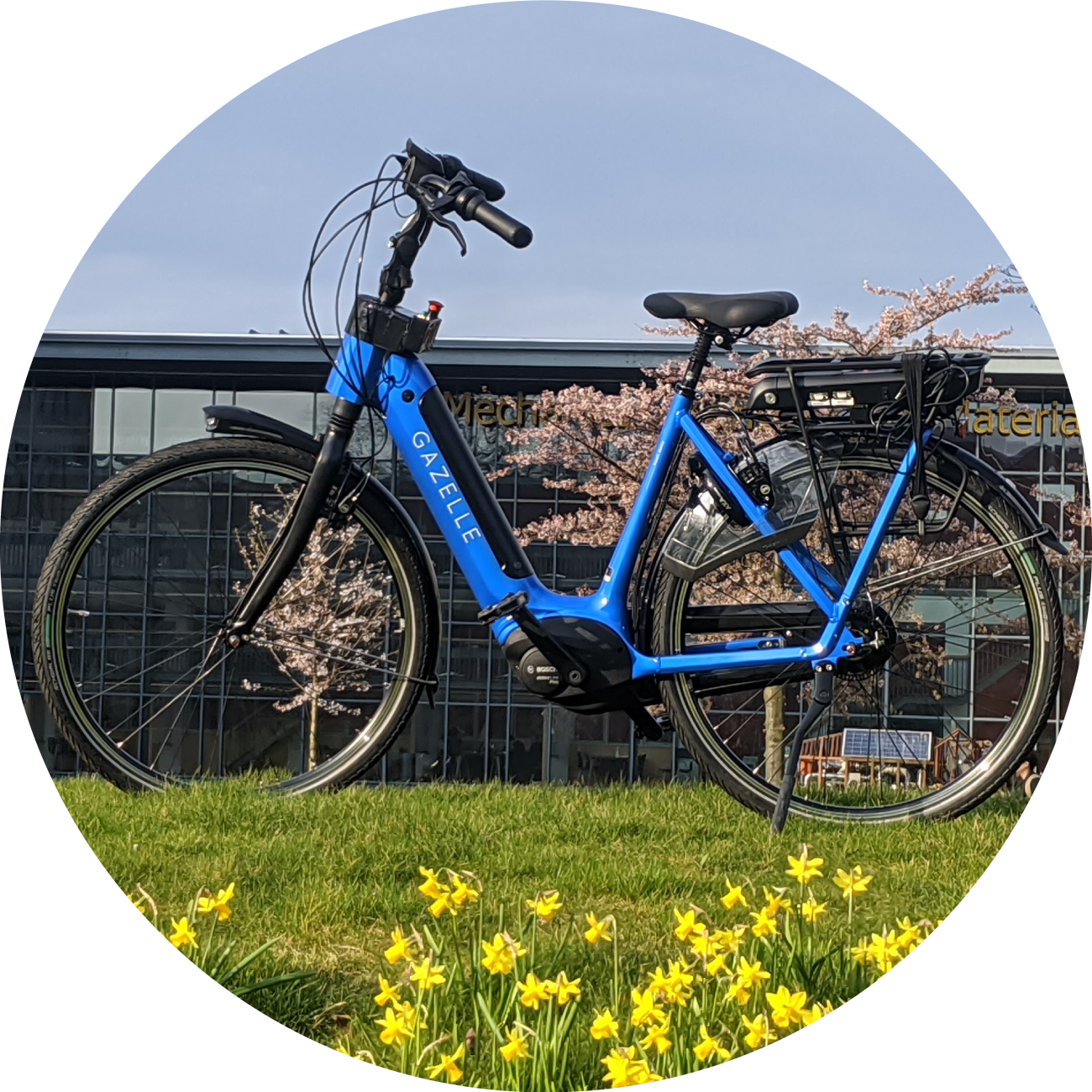 Balance Assist Bike