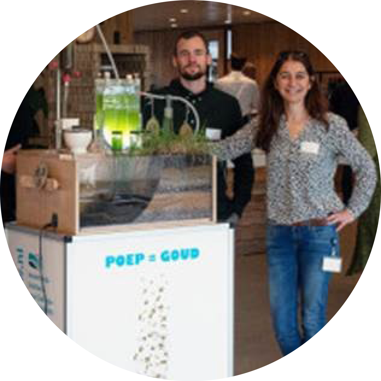Engineered ecosystems for cleaning water