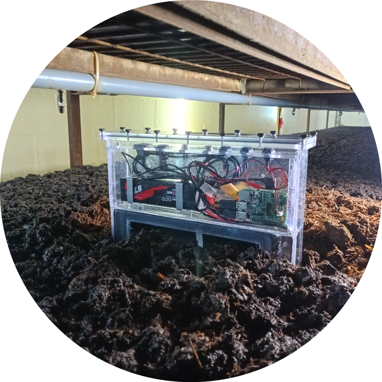 Time lapse imaging of fungal colonisation